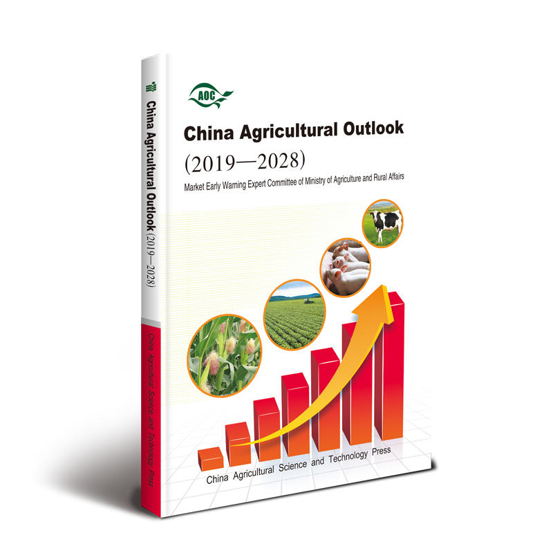 China Agricultural Outlook2019-2028