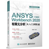 ANSYS Workbench 2020ԪTͨ: