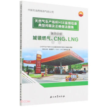 Ȼa(chn)HSEO(jin)z͆}_D(4փԳ(zhn)ȼ?x)?CNG LNG)