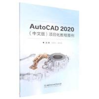 AutoCAD 2020İ棩(xing)Ŀ̳̈D