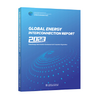 Global energy interconnection report