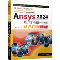 Ansys2024W(xu)ԪT(mn)ͨ